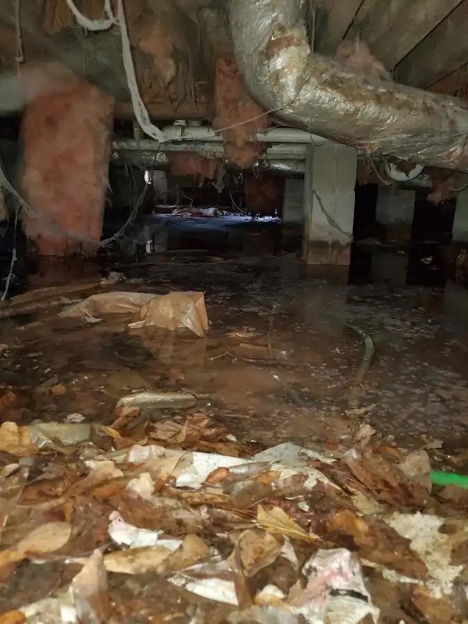 Crawl space flood assessment for Leak Detection & Repair in Demopolis