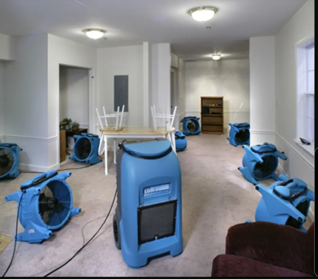 Air movers and dehumidifier setup for Water Extraction & Removal in Demopolis