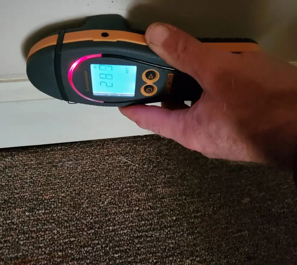 Moisture detection at baseboard during Storm Damage Restoration in Demopolis